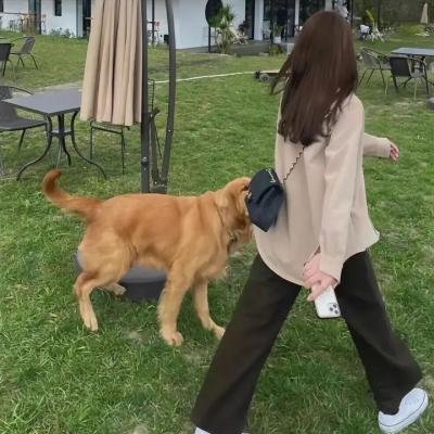 疯狂小世界
